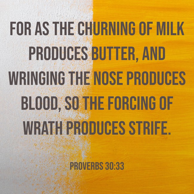 For as the churning of milk produces butter, and wringing the nose produces blood, so the forcing of wrath produces strife. - Proverbs 30:33