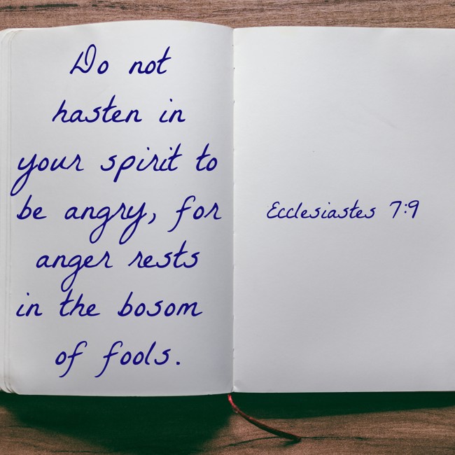 Do not hasten in your spirit to be angry, for anger rests in the bosom of fools. - Ecclesiastes 7:9