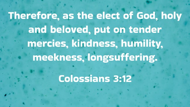 Therefore, as the elect of God, holy and beloved, put on tender mercies, kindness, humility, meekness, longsuffering. - Colossians 3:12