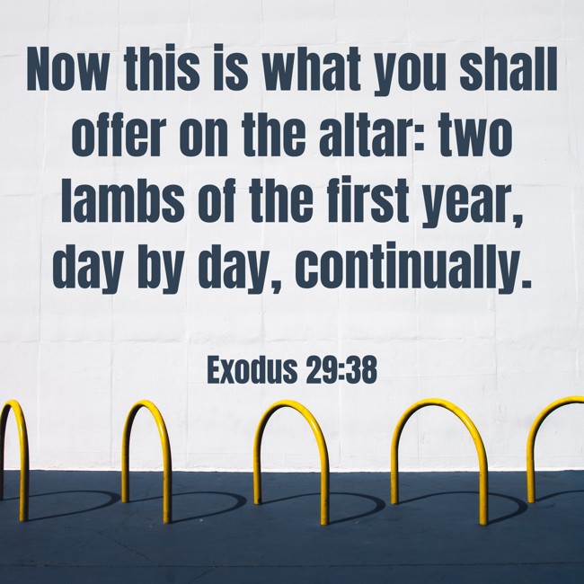 Now this is what you shall offer on the altar: two lambs of the first year, day by day, continually. - Exodus 29:38