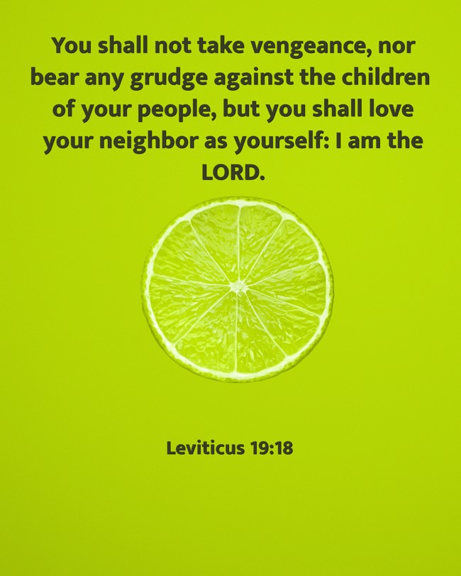 You shall not take vengeance, nor bear any grudge against the children of your people, but you shall love your neighbor as yourself: I am the LORD. - Leviticus 19:18