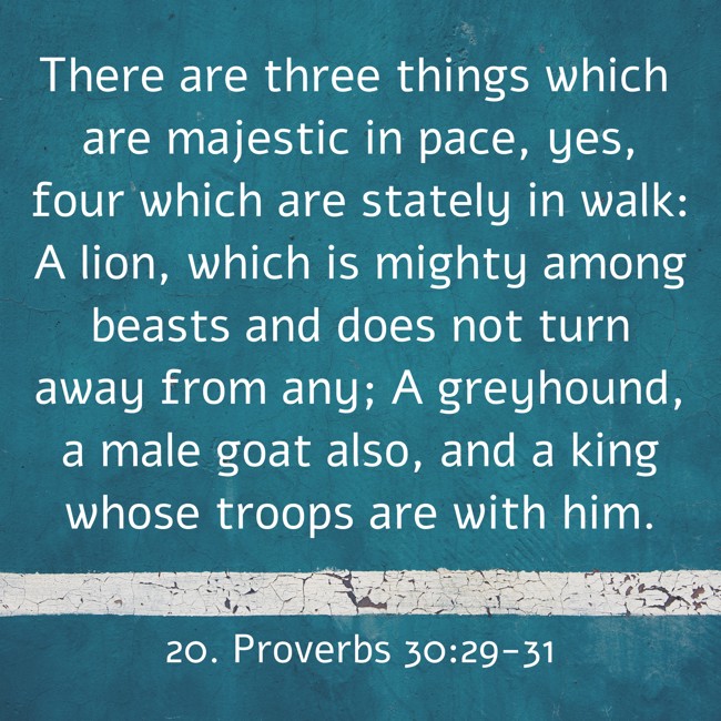  There are three things which are majestic in pace, yes, four which are stately in walk: A lion, which is mighty among beasts and does not turn away from any; A greyhound, a male goat also, and a king whose troops are with him.   - 20. Proverbs 30:29-31 