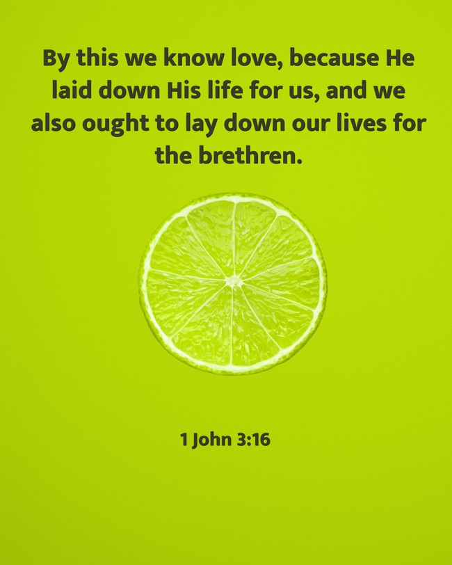 By this we know love, because He laid down His life for us, and we also ought to lay down our lives for the brethren. - 1 John 3:16