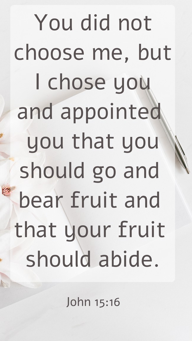 You did not choose me, but I chose you and appointed you that you should go and bear fruit and that your fruit should abide. - John 15:16
