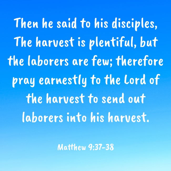 Then he said to his disciples, The harvest is plentiful, but the laborers are few; therefore pray earnestly to the Lord of the harvest to send out laborers into his harvest. - Matthew 9:37-38