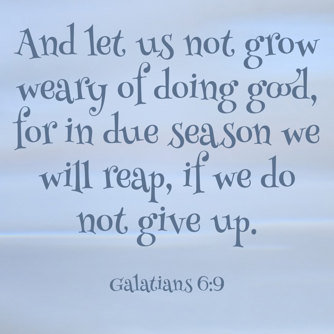 And let us not grow weary of doing good, for in due season we will reap, if we do not give up. - Galatians 6:9
