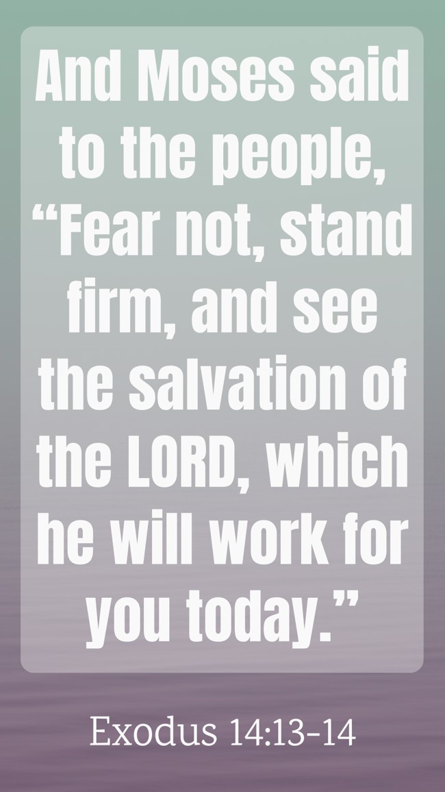 And Moses said to the people, “Fear not, stand firm, and see the salvation of the LORD, which he will work for you today.” - Exodus 14:13-14