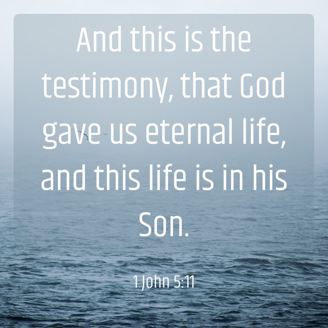 And this is the testimony, that God gave us eternal life, and this life is in his Son. - 1 John 5:11