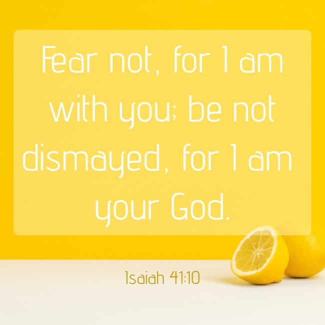 Fear not, for I am with you; be not dismayed, for I am your God. - Isaiah 41:10