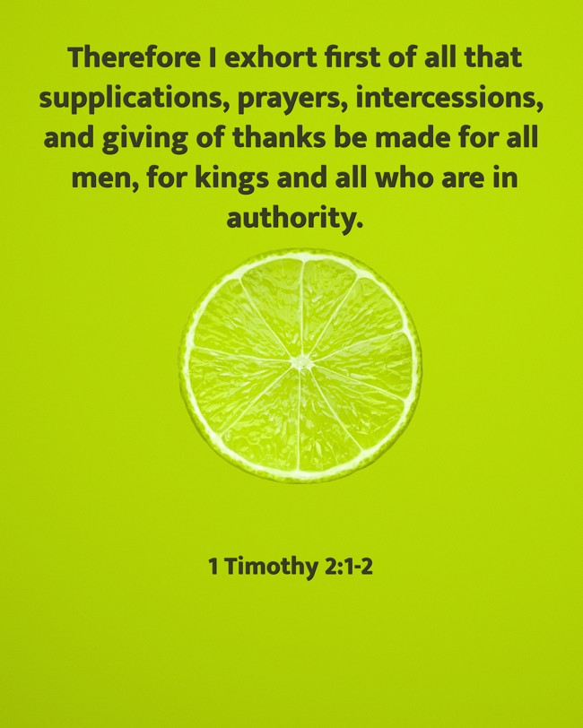 Therefore I exhort first of all that supplications, prayers, intercessions, and giving of thanks be made for all men, for kings and all who are in authority. - 1 Timothy 2:1-2