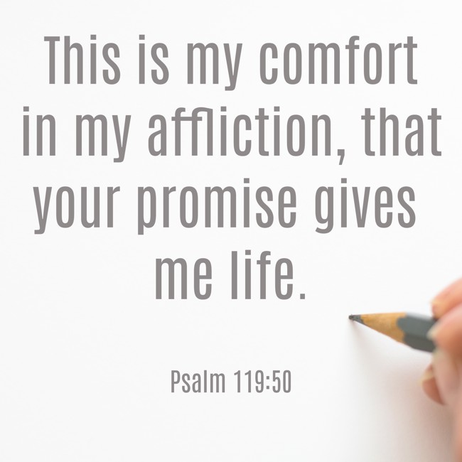 This is my comfort in my affliction, that your promise gives me life. - Psalm 119:50