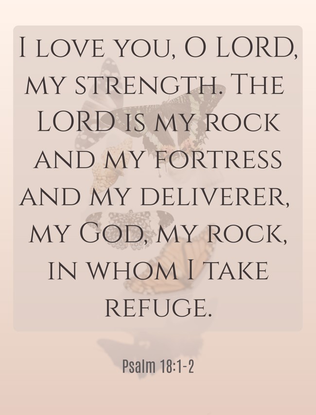 I love you, O LORD, my strength. The LORD is my rock and my fortress and my deliverer, my God, my rock, in whom I take refuge. - Psalm 18:1-2