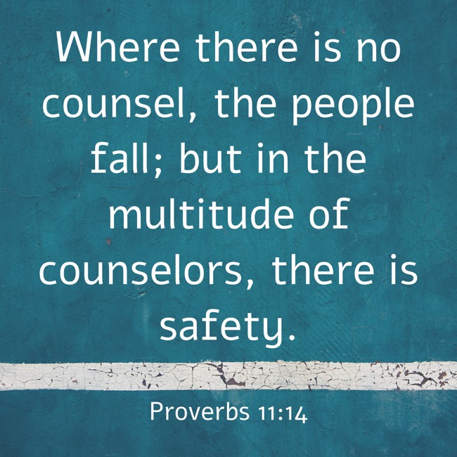 Where there is no counsel, the people fall; but in the multitude of counselors, there is safety. - Proverbs 11:14