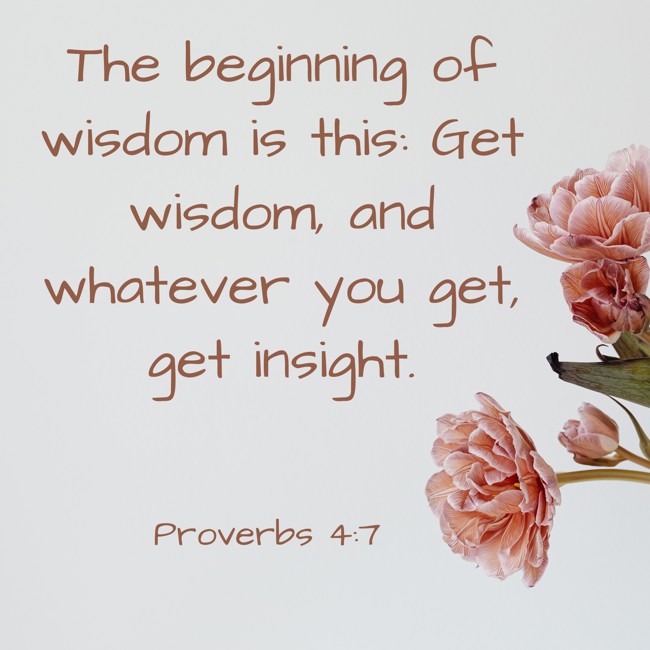 The beginning of wisdom is this: Get wisdom, and whatever you get, get insight. - Proverbs 4:7