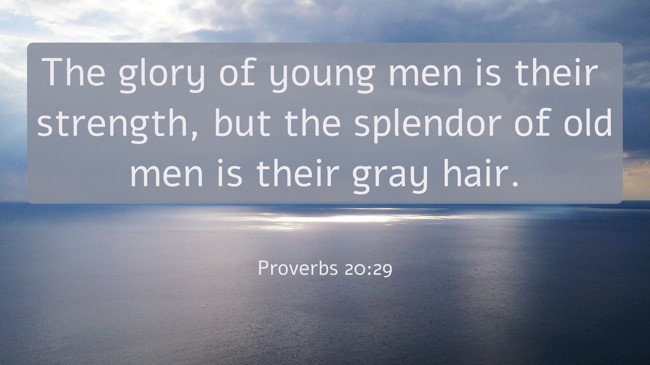 The glory of young men is their strength, but the splendor of old men is their gray hair. - Proverbs 20:29
