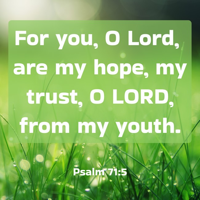 For you, O Lord, are my hope, my trust, O LORD, from my youth. - Psalm 71:5