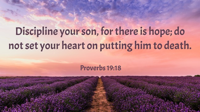 Discipline your son, for there is hope; do not set your heart on putting him to death. - Proverbs 19:18