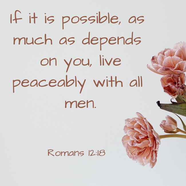 If it is possible, as much as depends on you, live peaceably with all men. - Romans 12:18