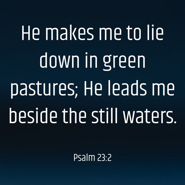 He makes me to lie down in green pastures; He leads me beside the still waters. - Psalm 23:2