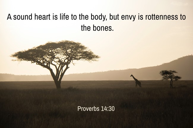 A sound heart is life to the body, but envy is rottenness to the bones. - Proverbs 14:30