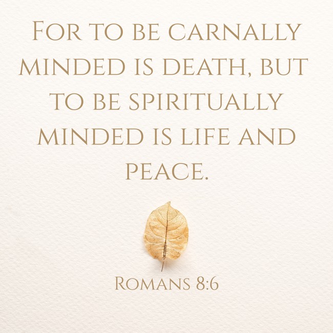 For to be carnally minded is death, but to be spiritually minded is life and peace. - Romans 8:6