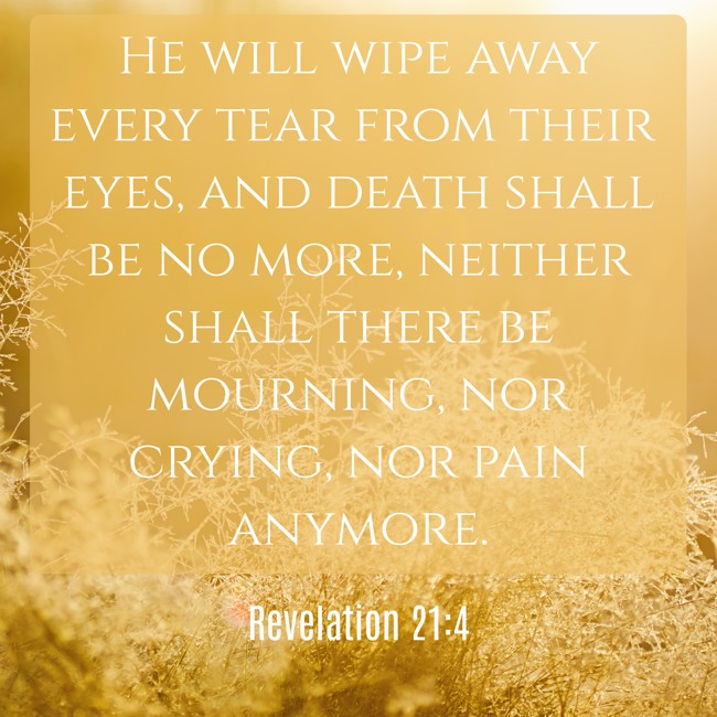 He will wipe away every tear from their eyes, and death shall be no more, neither shall there be mourning, nor crying, nor pain anymore. - Revelation 21:4