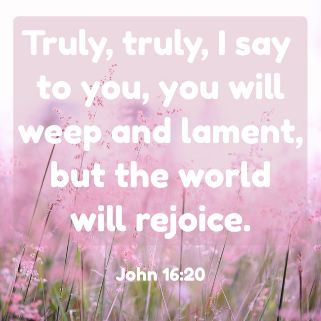 Truly, truly, I say to you, you will weep and lament, but the world will rejoice. - John 16:20