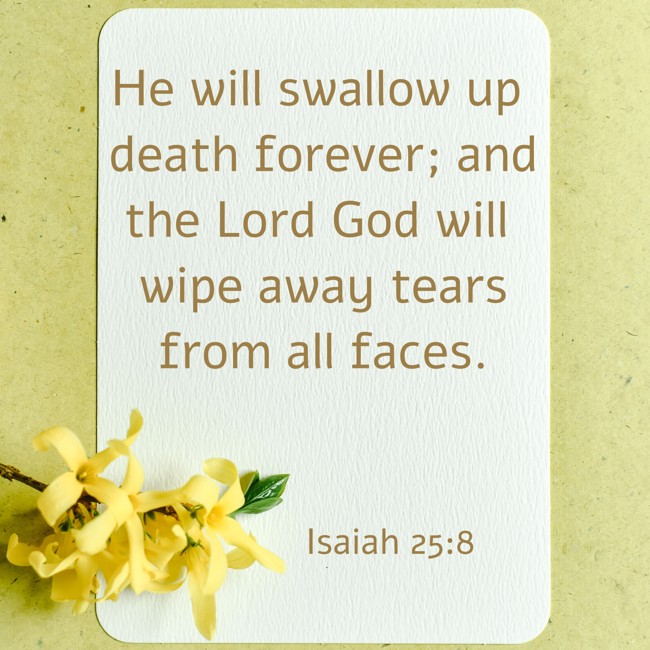 He will swallow up death forever; and the Lord God will wipe away tears from all faces. - Isaiah 25:8