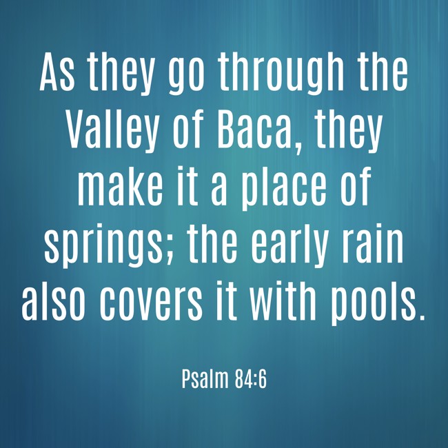 As they go through the Valley of Baca, they make it a place of springs; the early rain also covers it with pools. - Psalm 84:6