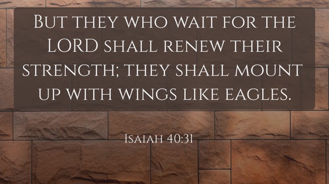 But they who wait for the LORD shall renew their strength; they shall mount up with wings like eagles. - Isaiah 40:31