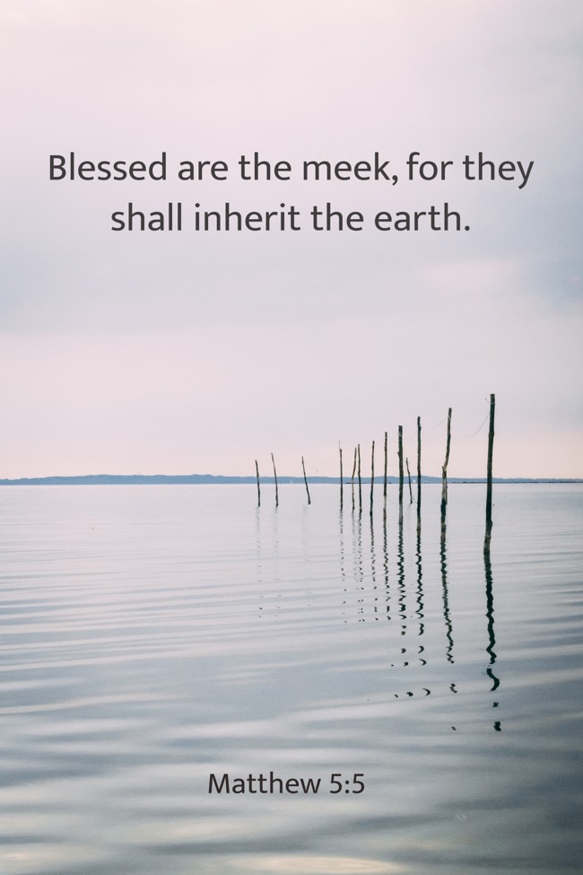 Blessed are the meek, for they shall inherit the earth. - Matthew 5:5