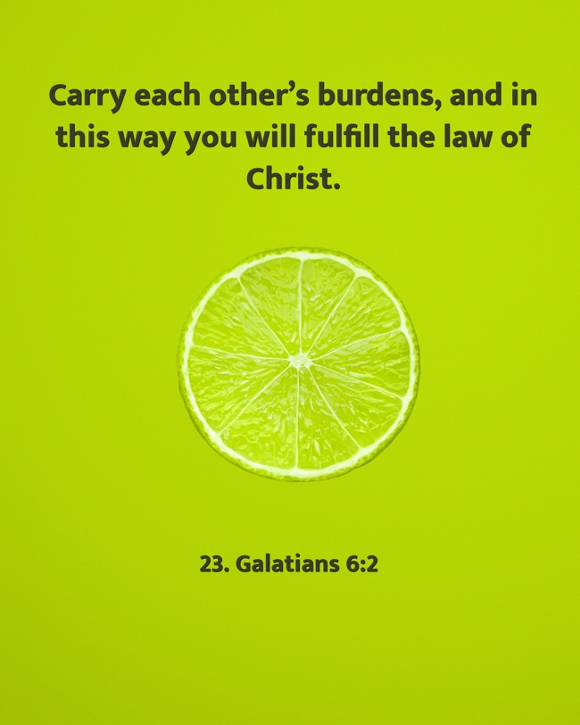 Carry each other’s burdens, and in this way you will fulfill the law of Christ. - 23. Galatians 6:2