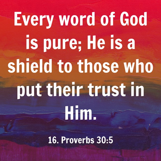 Every word of God is pure; He is a shield to those who put their trust in Him. - 16. Proverbs 30:5