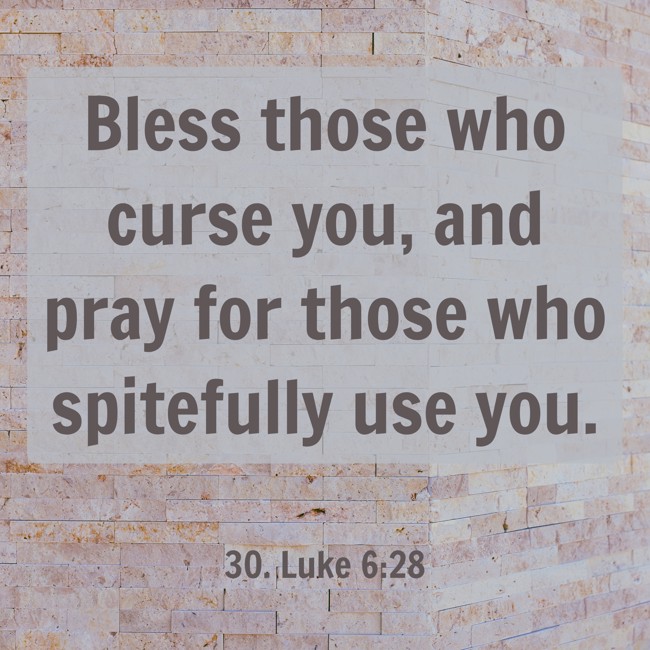 Bless those who curse you, and pray for those who spitefully use you. - 30. Luke 6:28