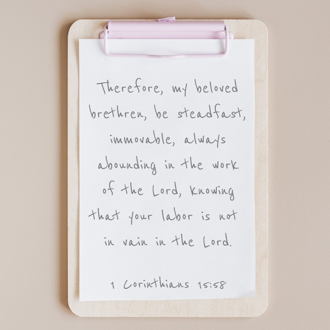 Therefore, my beloved brethren, be steadfast, immovable, always abounding in the work of the Lord, knowing that your labor is not in vain in the Lord. - 1 Corinthians 15:58