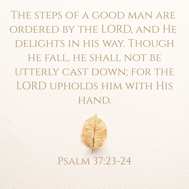 The steps of a good man are ordered by the LORD, and He delights in his way. Though he fall, he shall not be utterly cast down; for the LORD upholds him with His hand. - Psalm 37:23-24