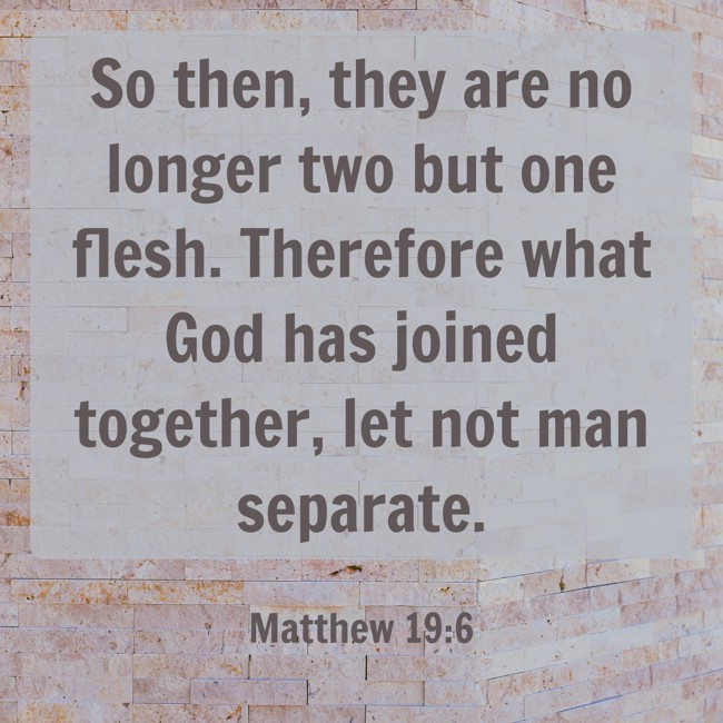 So then, they are no longer two but one flesh. Therefore what God has joined together, let not man separate. - Matthew 19:6