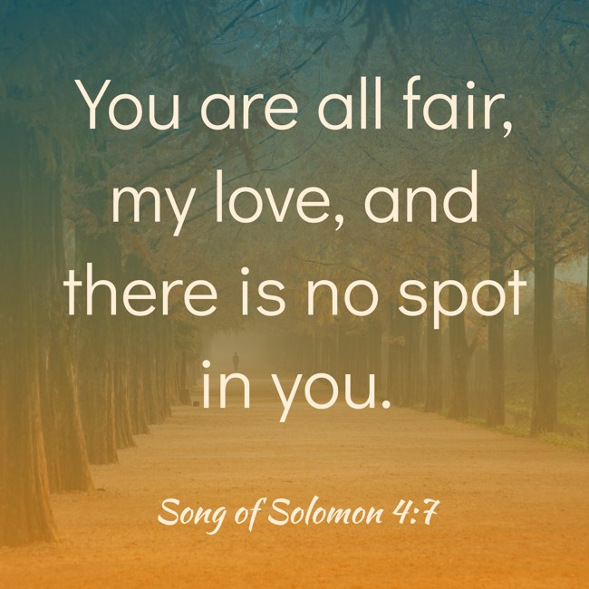You are all fair, my love, and there is no spot in you. - Song of Solomon 4:7
