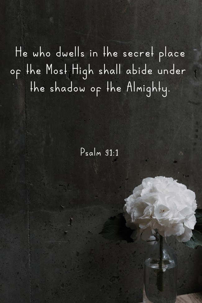 He who dwells in the secret place of the Most High shall abide under the shadow of the Almighty. - Psalm 91:1