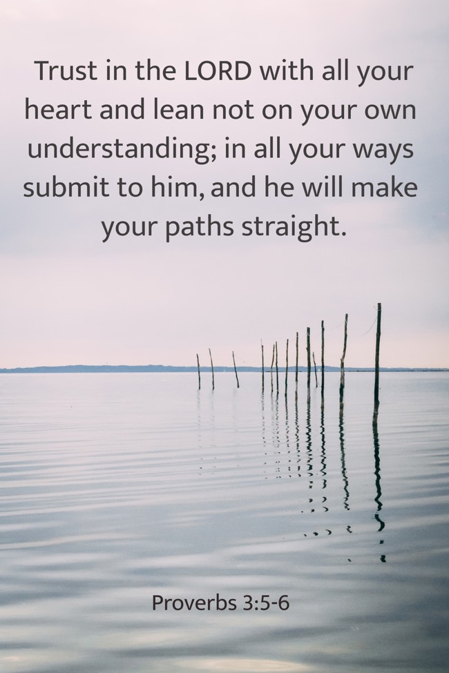 Trust in the LORD with all your heart and lean not on your own understanding; in all your ways submit to him, and he will make your paths straight. - Proverbs 3:5-6