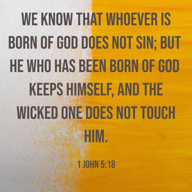 We know that whoever is born of God does not sin; but he who has been born of God keeps himself, and the wicked one does not touch him. - 1 John 5:18