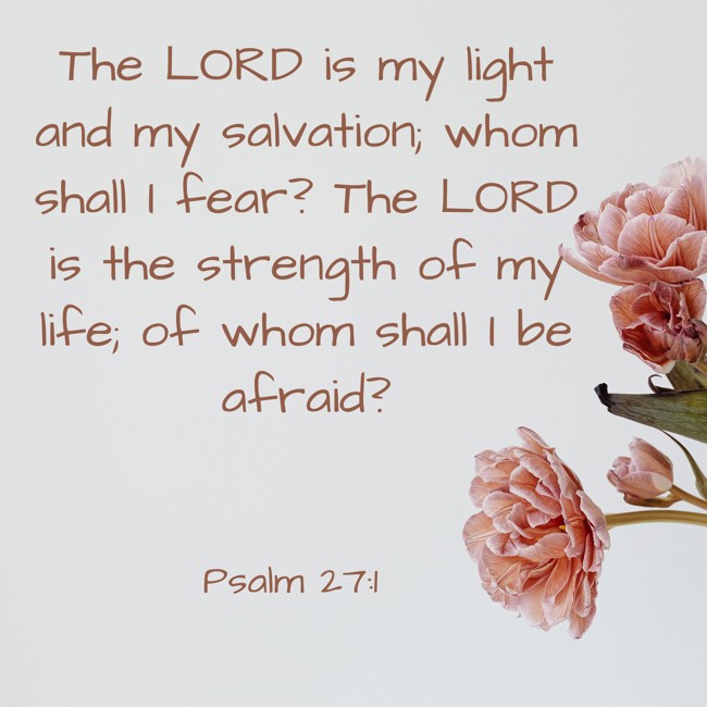 The LORD is my light and my salvation; whom shall I fear? The LORD is the strength of my life; of whom shall I be afraid? - Psalm 27:1