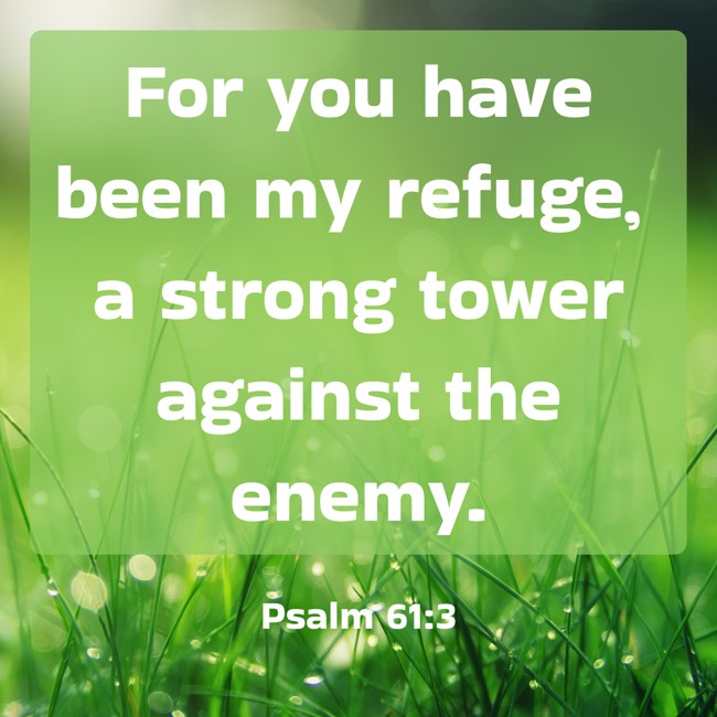 For you have been my refuge, a strong tower against the enemy. - Psalm 61:3