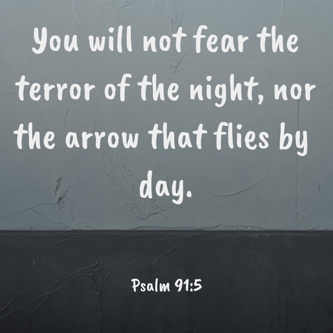 You will not fear the terror of the night, nor the arrow that flies by day. - Psalm 91:5