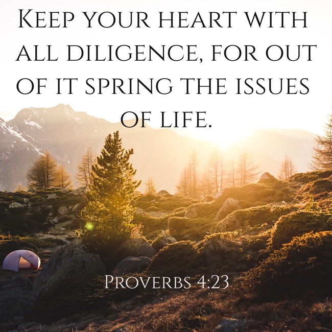 Keep your heart with all diligence, for out of it spring the issues of life. - Proverbs 4:23
