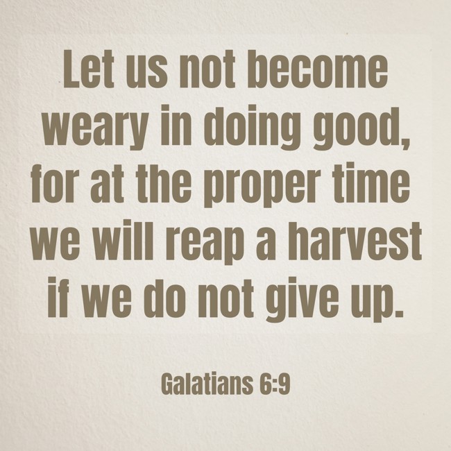 Let us not become weary in doing good, for at the proper time we will reap a harvest if we do not give up. - Galatians 6:9