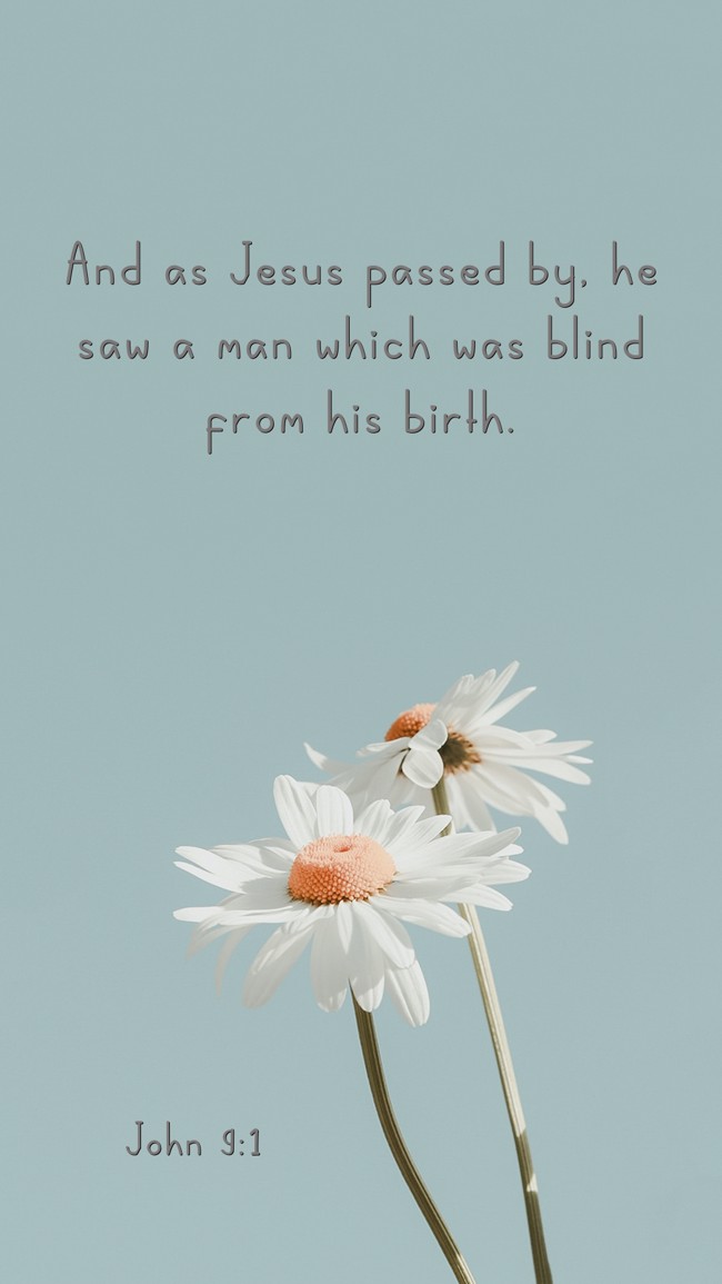 And as Jesus passed by, he saw a man which was blind from his birth. - John 9:1
