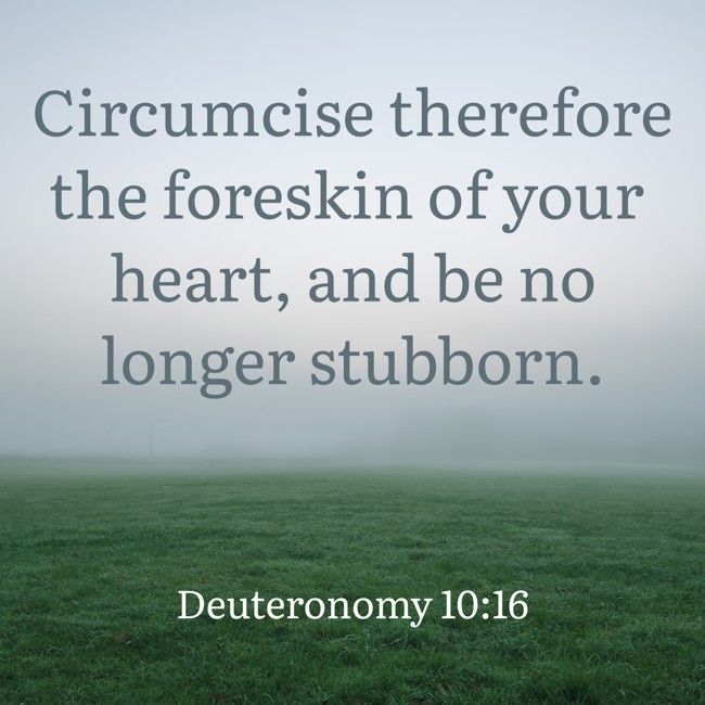 Circumcise therefore the foreskin of your heart, and be no longer stubborn. - Deuteronomy 10:16