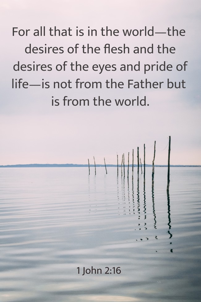 For all that is in the world—the desires of the flesh and the desires of the eyes and pride of life—is not from the Father but is from the world. - 1 John 2:16