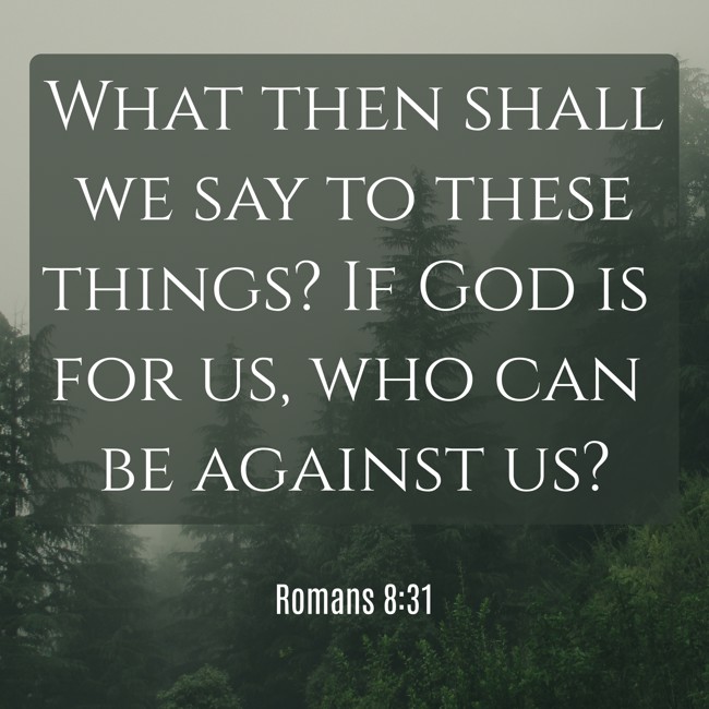 What then shall we say to these things? If God is for us, who can be against us? - Romans 8:31